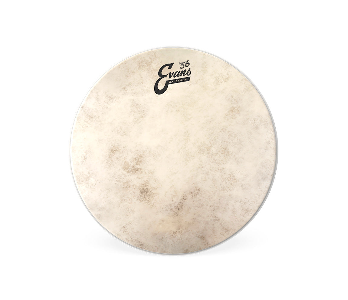 Evans Calftone 10" Drum Head