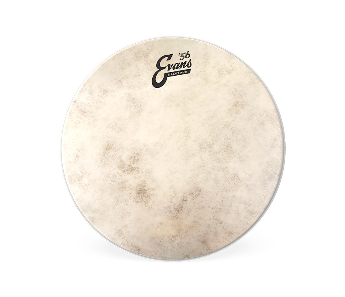 Evans Calftone 13" Drum Head