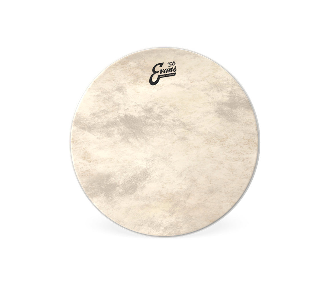 Evans 16" EQ4 Calftone Tom Hoop Drum Head