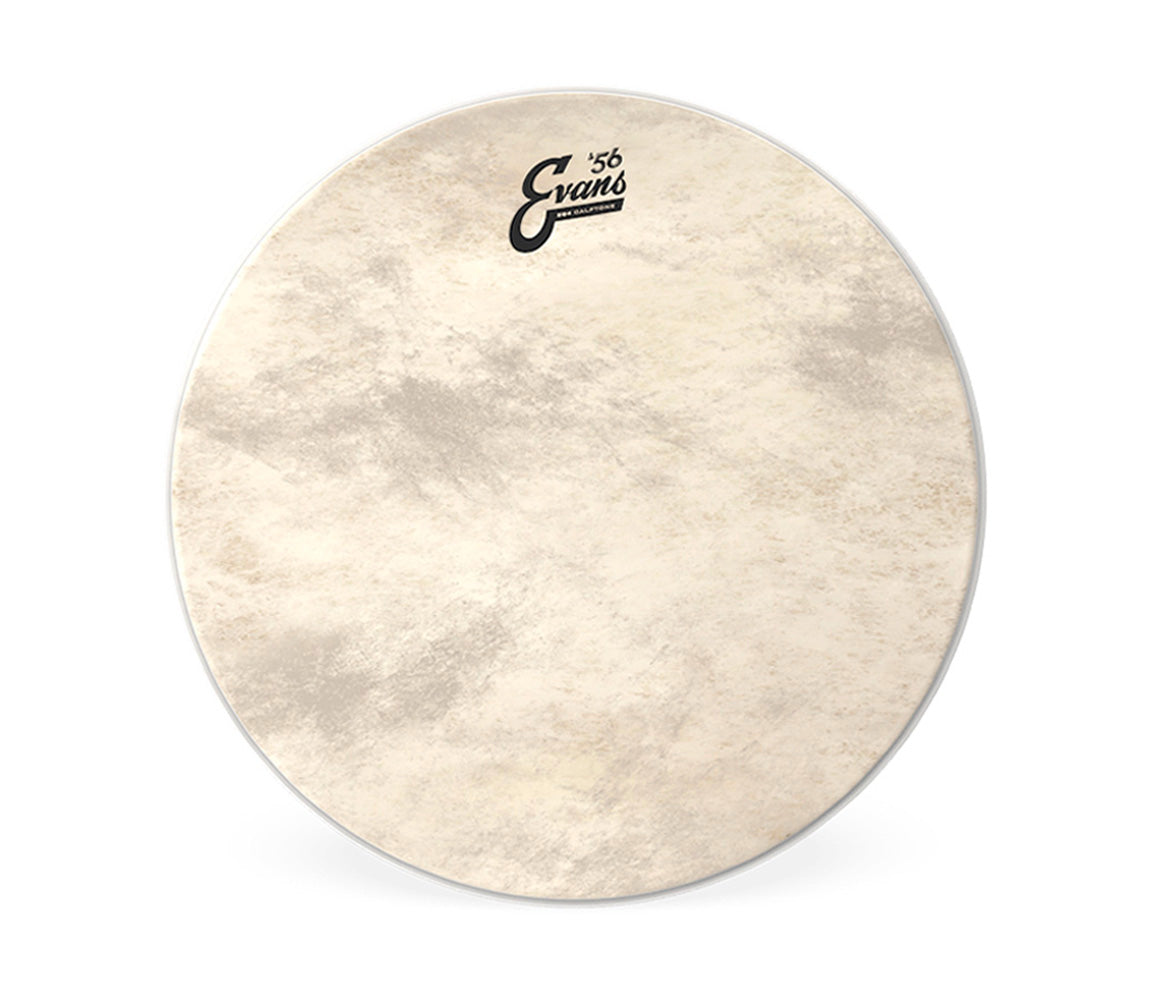 Evans 22" EQ4 Calftone Bass Drum Head