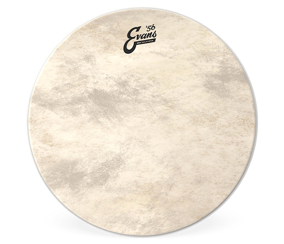 Evans 26" EQ4 Calftone Bass Drum Head