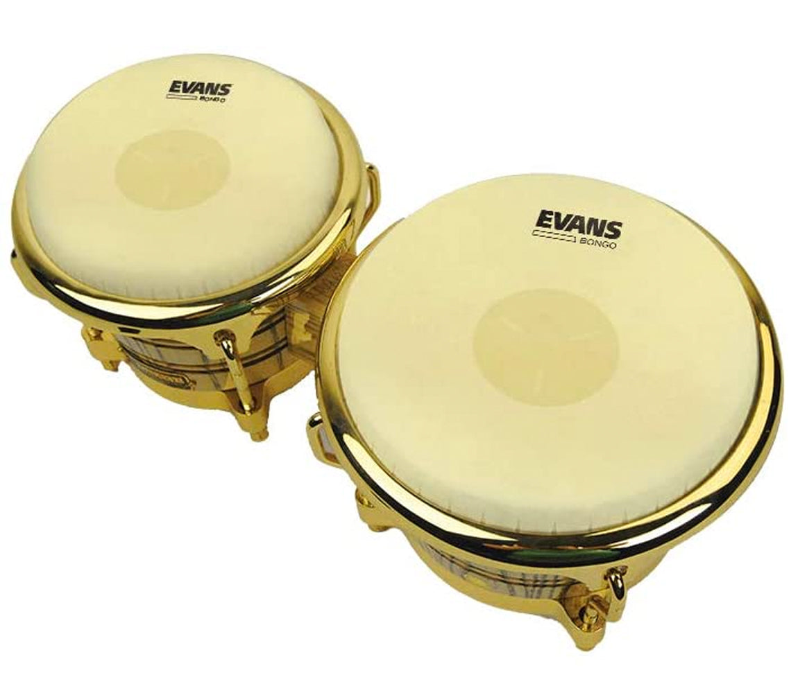 Evans Tri Centre Bongo Head Set