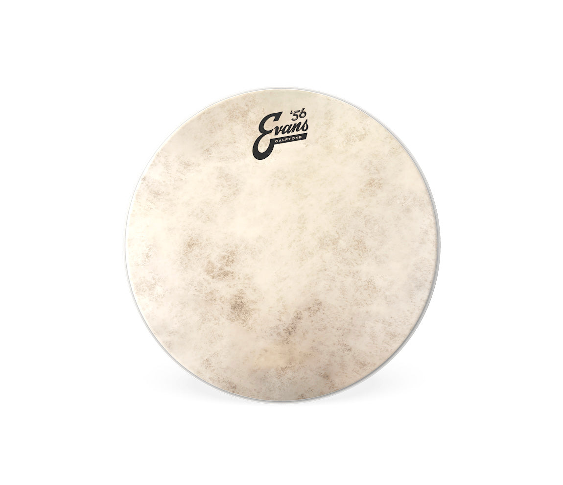Evans Calftone 8" Drum Head