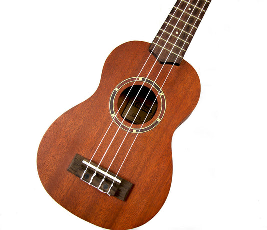 A Ukulele at Drum Shop?