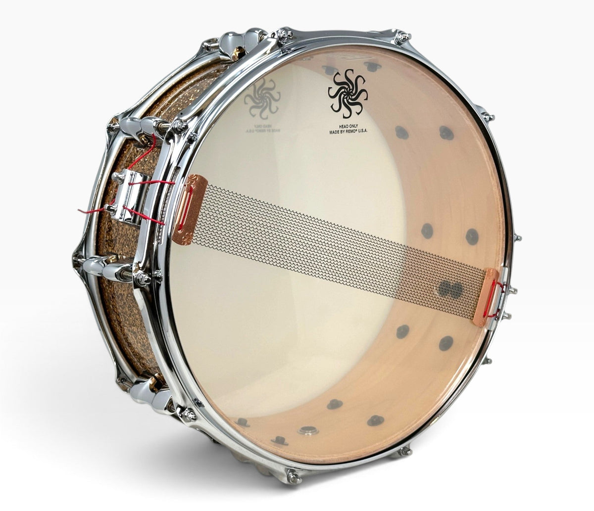 Sakae Evolved 14" x 5.5" Snare Drum in Gold Champagne – resonant head and snare wires