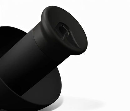 Alpine PartyPlug Black Earplugs (2025)