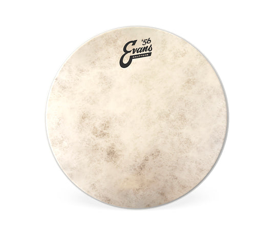 Evans Calftone 15" Drum Head