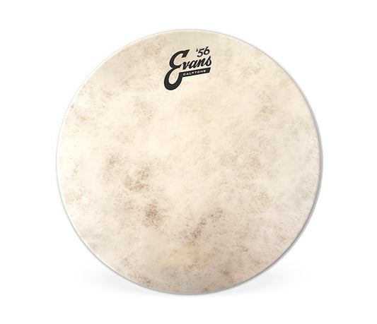 Evans Calftone 18" Drum Head